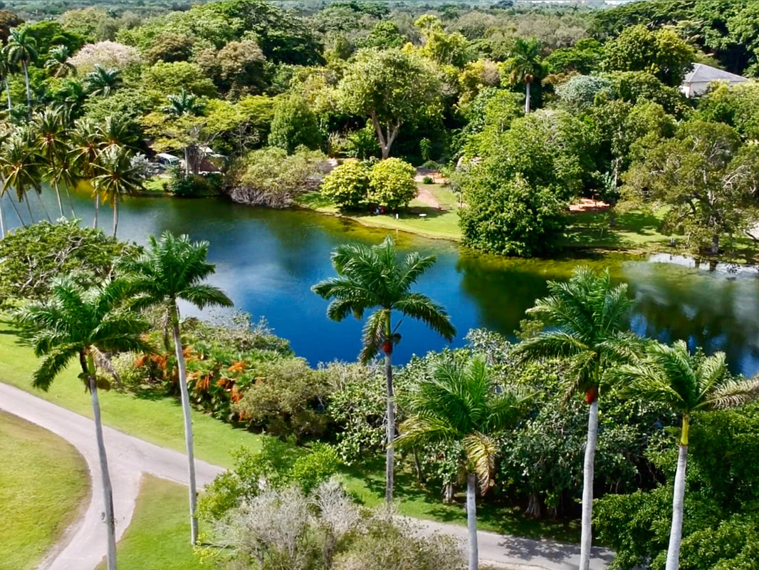 Fairchild Tropical Botanic Garden Top 10 To Do List